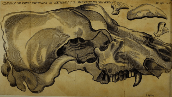 screen-shot-2017-02-03-at-1-46-38-am