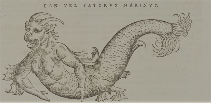 gessnersatyrusmarinusiconesanimalium (3)