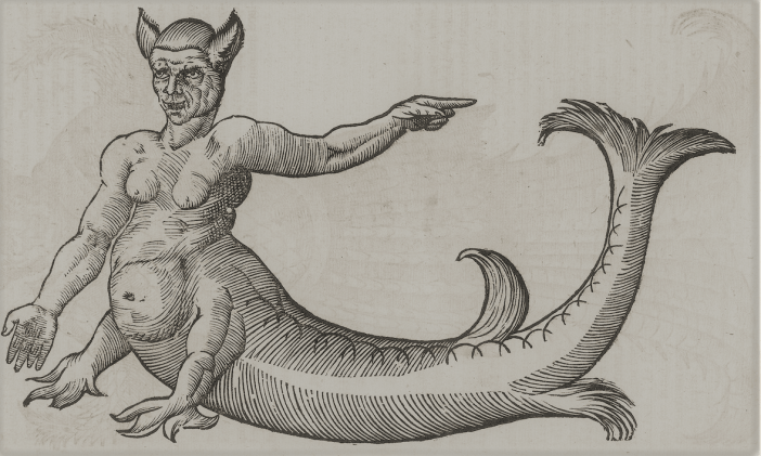 Vlyssis Aldrouandi ... Monstrorum historia cum Paralipomenis historiae omnium animalium3.PNG