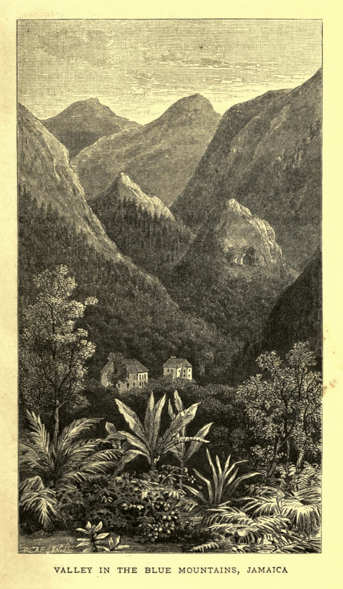 valley-blue-mountains-jamaica